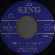 James Brown & The Famous Flames - America Is My Home