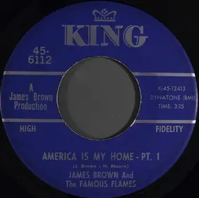 James Brown - America Is My Home