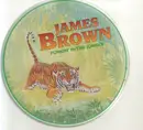 CD - James Brown - Funkin' in the jungle - Tin Box
