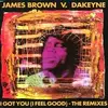 CD Single - James Brown - I Got You ( I Feel Good)