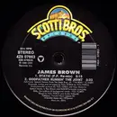 12inch Vinyl Single - James Brown - Static