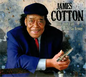 James Cotton - How Long Can A Fool Go Wrong