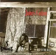 James Cotton With Joe Louis Walker And Charlie Haden - Deep in the Blues
