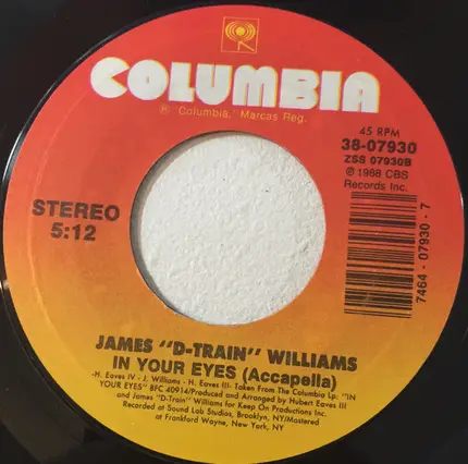 James 'D-Train' Williams - In Your Eyes