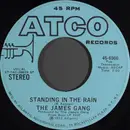 7inch Vinyl Single - James Gang - Standing In The Rain