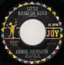 7inch Vinyl Single - James Gilreath - Little Band Of Gold