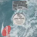 12inch Vinyl Single - James Howard - Feeling Good (The Remixes)