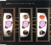 James - I Know What I'm Here For