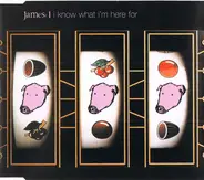 James - I Know What I'm Here For