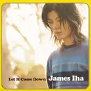 CD - James Iha - Let It Come Down