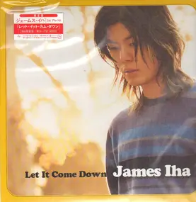 James Iha - Let It Come Down