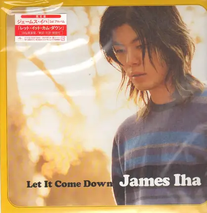 James Iha - Let It Come Down
