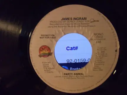 James Ingram - Party Animal