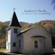 James King - Garden In Teh Sky
