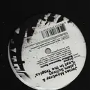 12inch Vinyl Single - James & Leiam SU Mowbray - Lost In The Tropics