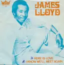 7inch Vinyl Single - James Lloyd - Here Is Love