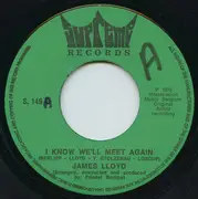 7inch Vinyl Single - James Lloyd - Here Is Love