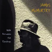 James McMurtry - Walk Between the Raindrops