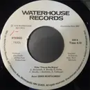 7inch Vinyl Single - James Montgomery - New England Sunshine