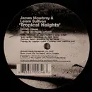 12inch Vinyl Single - James Mowbray & Leiam Sullivan - Tropical Heights