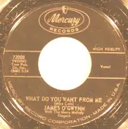 James O'Gwynn - What Do You Want From Me