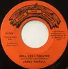 7inch Vinyl Single - James Pastell - Hell Yes I Cheated / Woman Of The World