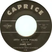 James Ray - Itty bitty pieces