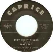 James Ray With Hutch Davie Orchestra & Chorus - Itty bitty pieces