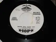 James Robert Ambrose - Brand New Sunny Day