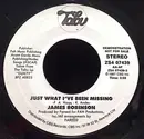 7inch Vinyl Single - James Robinson - Just What I've Been Missing