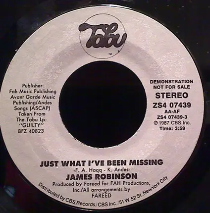 James Robinson - Just What I've Been Missing