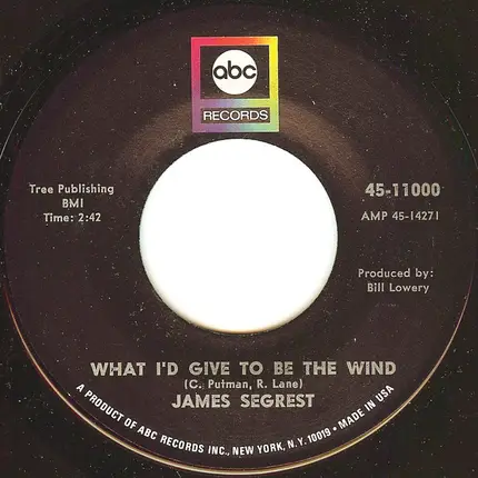 James Segrest - What I'd Give To Be The Wind