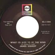 James Segrest - What I'd Give To Be The Wind