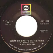 James Segrest - What I'd Give To Be The Wind