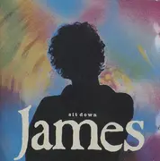 12inch Vinyl Single - James - Sit Down