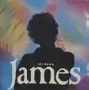12inch Vinyl Single - James - Sit Down