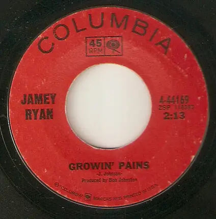 Jamey Ryan - You're Lookin' For A Plaything / Growin' Pains