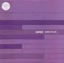 12inch Vinyl Single - Jamez - Energy Of Life