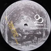 Jamie Bissmire - Ground  Force