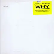 12inch Vinyl Single - Jamie J. Morgan - Why