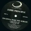 12inch Vinyl Single - Jamie Principle - I'm Gonna Make You Scream