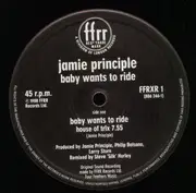 12inch Vinyl Single - Jamie Principle - Baby Wants To Ride (Remix Version)