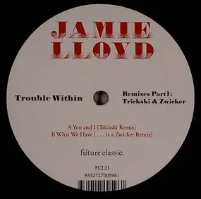 Jamie Lloyd - Trouble Within Remixes Part 1: Trickski & Zwicker