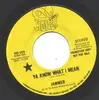 7inch Vinyl Single - Jammer - Ya Know What I Mean