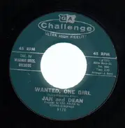 Jan and Dean - Wanted, One Girl