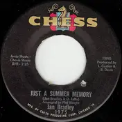 Jan Bradley - Just A Summer Memory / He'll Wait On Me