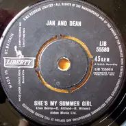 Jan & Dean - She's My Summer Girl
