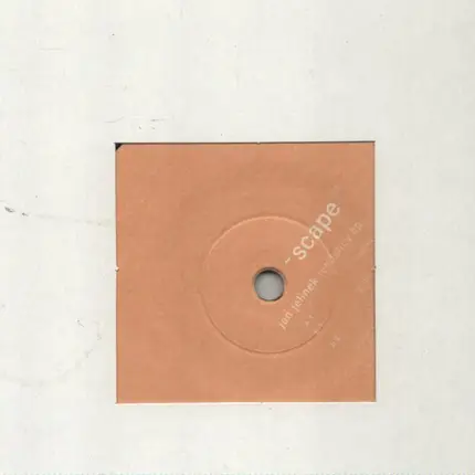 Jan Jelinek - Tendency EP