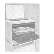 Jan Jelinek - The Raw and the Cooked