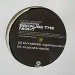 12inch Vinyl Single - Jan Wayne - Because The Night